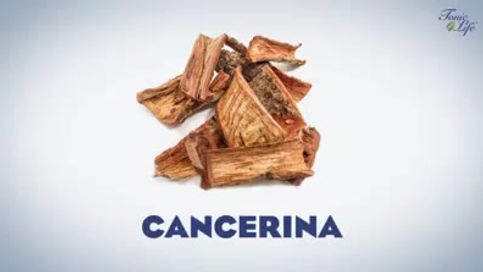 GANFICOL Nuevo producto Tonic Life